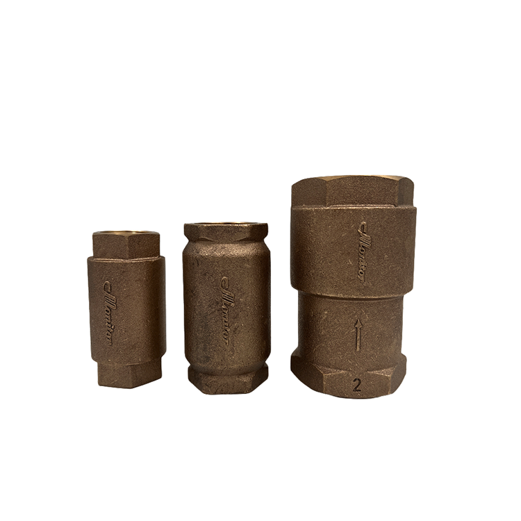Monitor Residential 2" NPT Check Valve